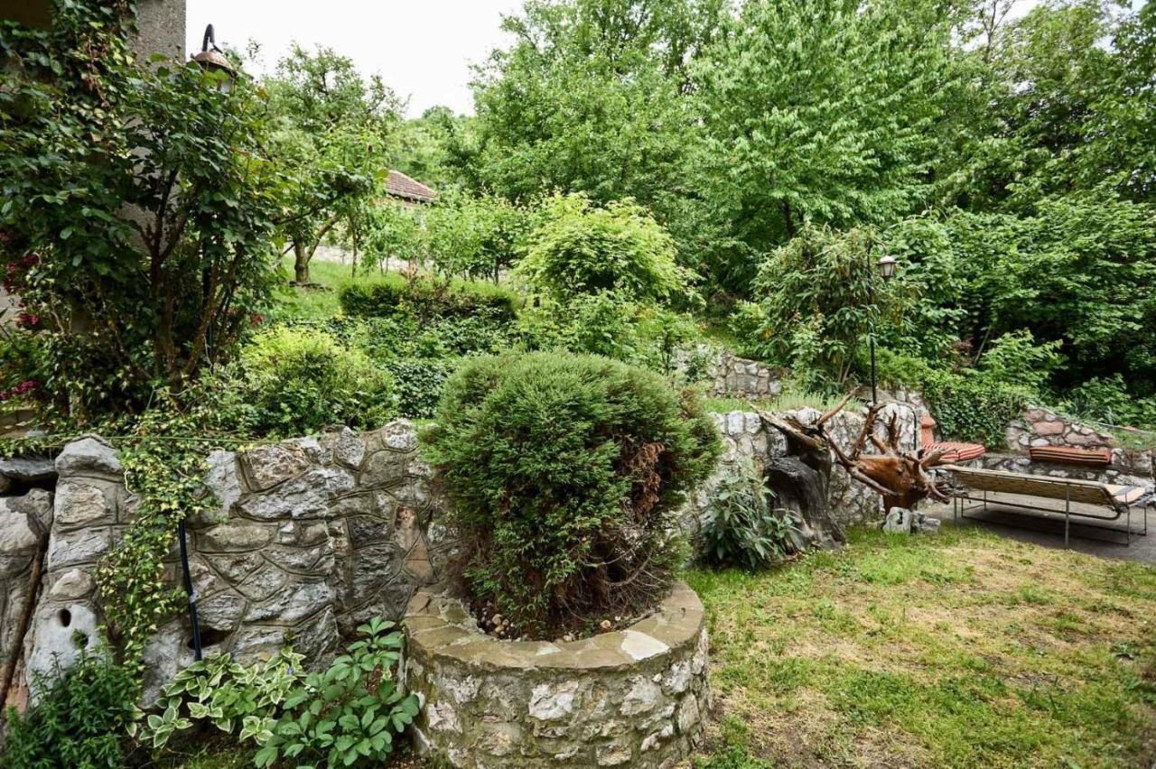 Apartmani Dr. Gasa Soko Banja Exterior photo